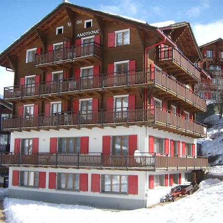 Anemone Apartment Saas-Fee Cameră foto